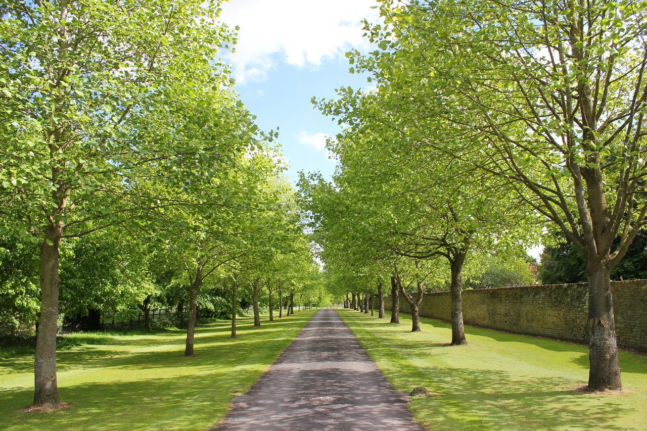 Chippenham Park Garden Rooms المظهر الخارجي الصورة