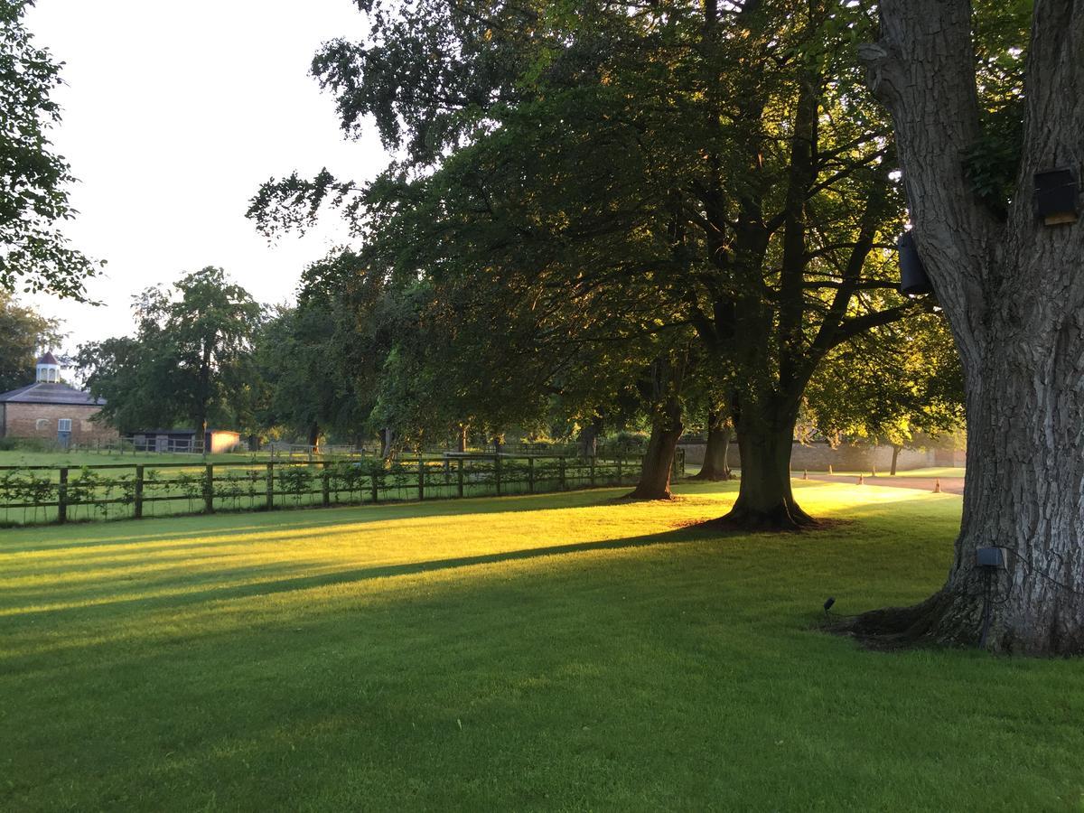 Chippenham Park Garden Rooms المظهر الخارجي الصورة