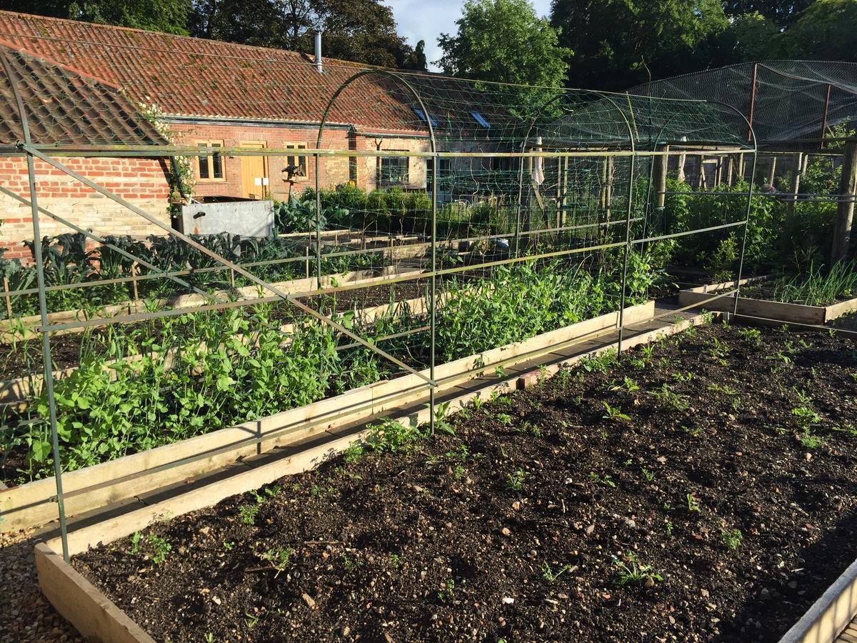 Chippenham Park Garden Rooms المظهر الخارجي الصورة